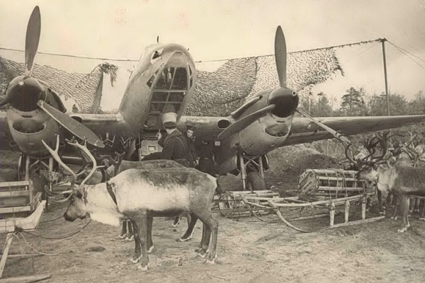 Олени на войне